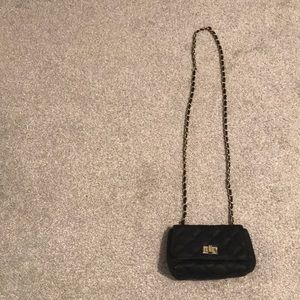 Steve Madden side purse